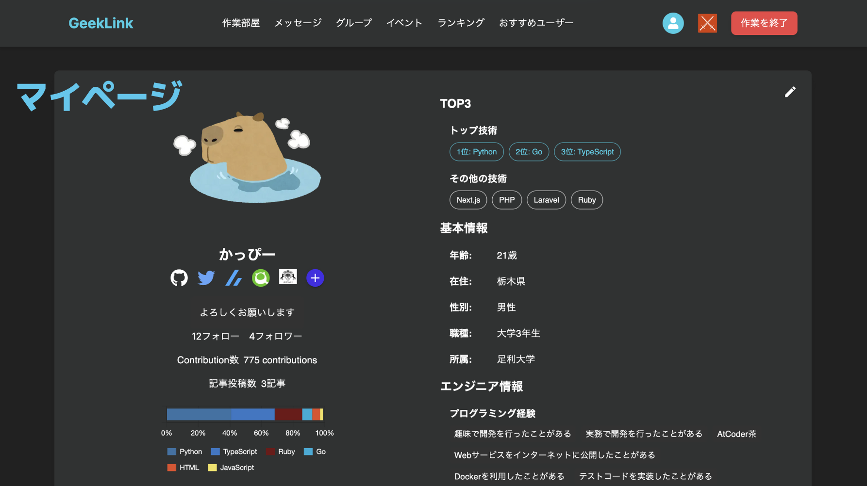 GeekLink image 5